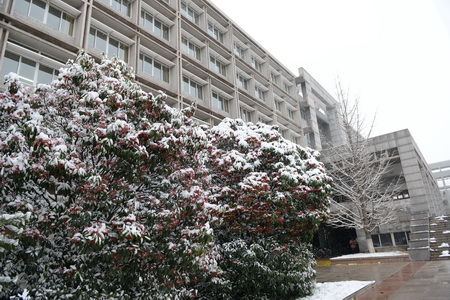 校园瑞雪