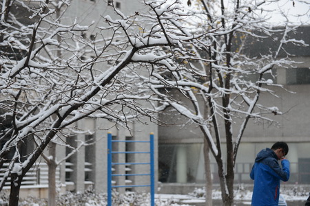 校园瑞雪